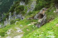 2014-07-24_OsterfelderKopf (304).JPG